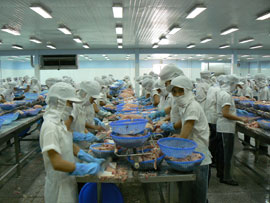 Russia and Ukraine Markets offer many opportunities for Vietnamese seafood exporters