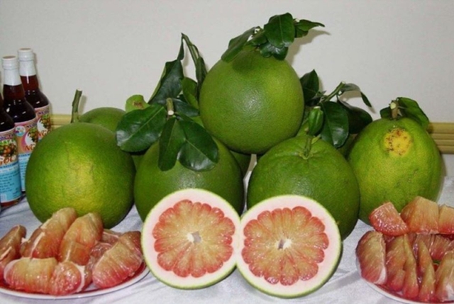 Vietnam’s Pomelos Official Available in Australia