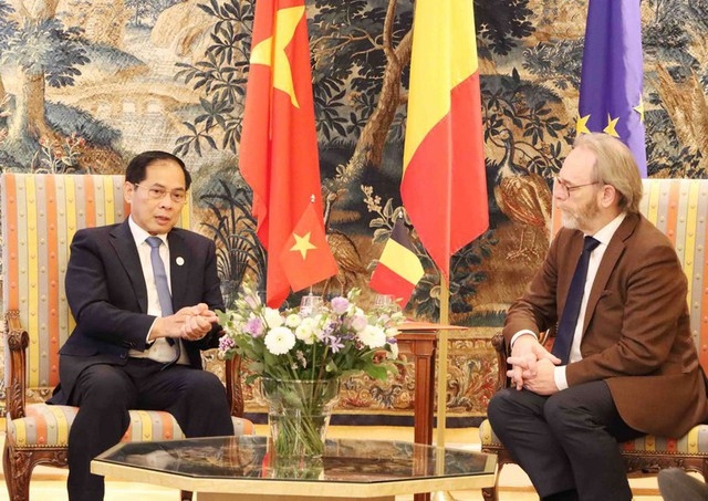Viet Nam Urges Belgium to Ratify EVIPA This Year