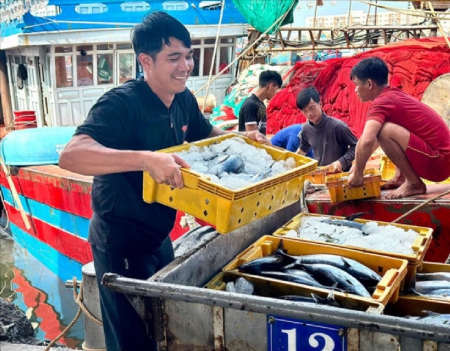 Da Nang: Fisheries Maintain Stable Growth