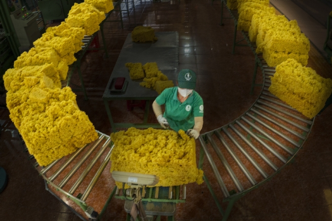 Dong Nai Rubber Corp: Advancing Green, Transparent, and Sustainable Value Chain