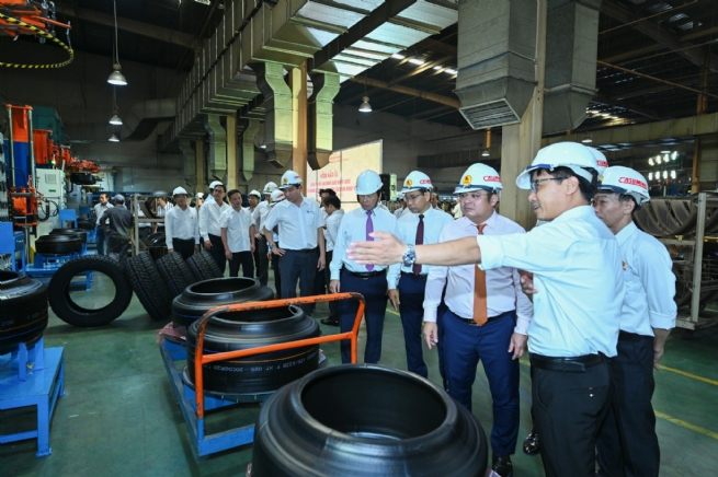 Casumina: Sparking Culture of Innovation from Sustainable Lifestyles