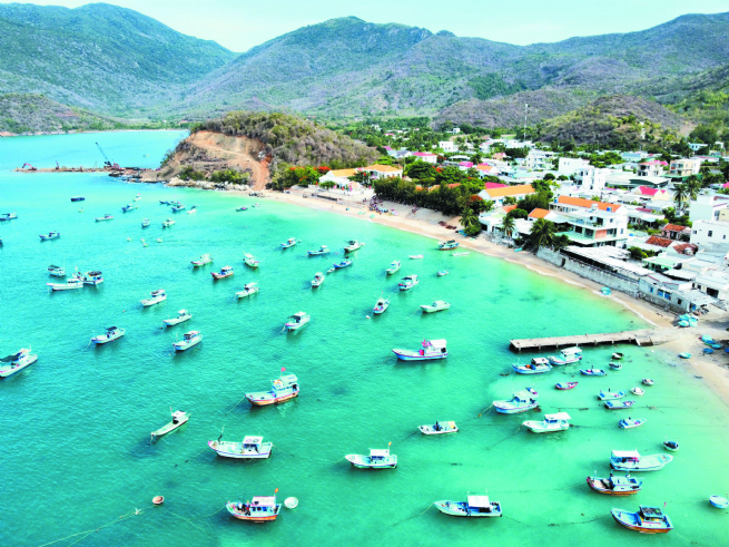 Tourism Growth Driven by Digital Platforms