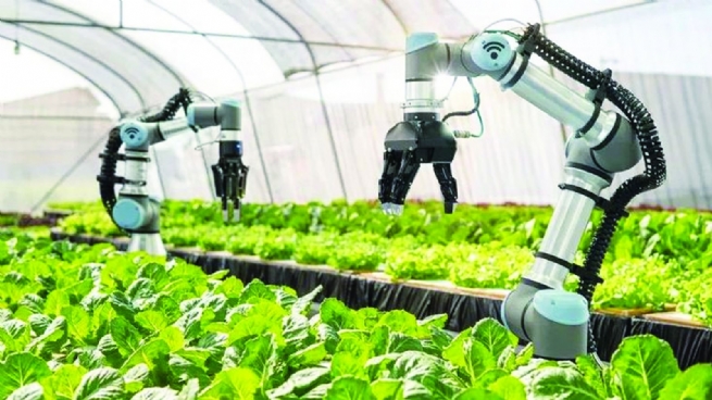 Science & Technology: Leverage for Modern Agriculture
