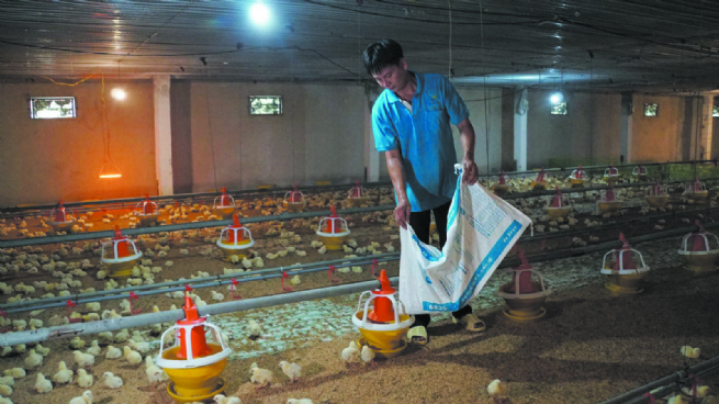 Agriculture and Environment Advancing Toward Net Zero