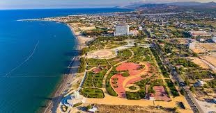 Korean Firm Supports Chili Farming Project in Ninh Thuan Province