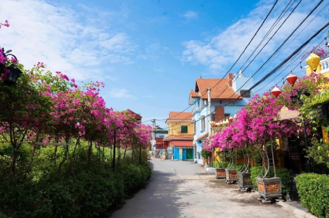 Phu Dong Commune Investing in Green, Sustainable Development