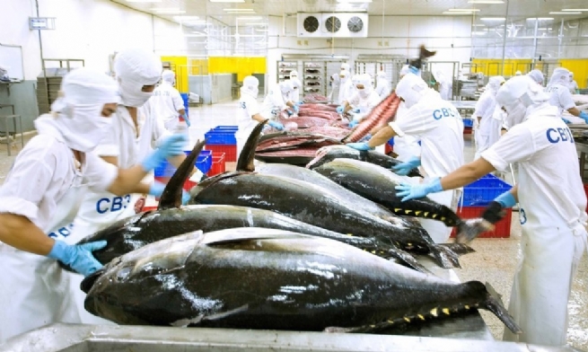 Vietnamese Tuna Struggles to Break Through in the Final Months of the Year