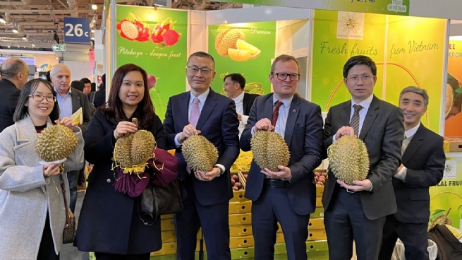 German Market: Gateway to EU to Boost Vietnamese Exports