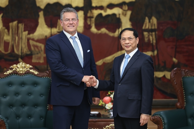 EU Remains One of Viet Nam's Key Partners, Deputy PM Reassures
