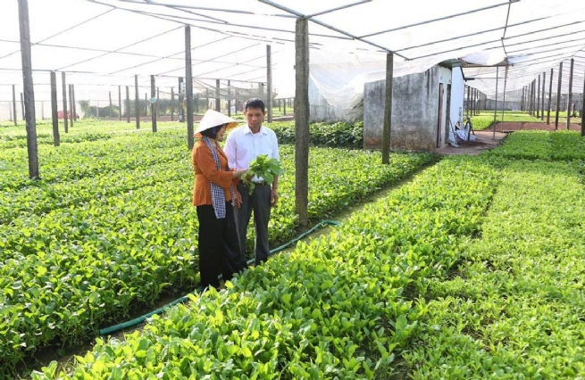 Hanoi Advances Comprehensive, and Sustainable Rural Communities