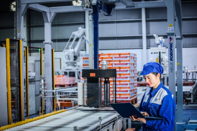 Enhancing Human-Centric Economic Governance