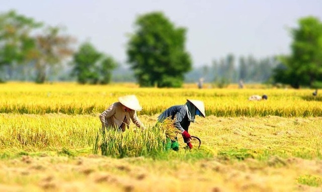Vietnam Targets to Train around 1.5 Million Rural Adults Annually through 2030