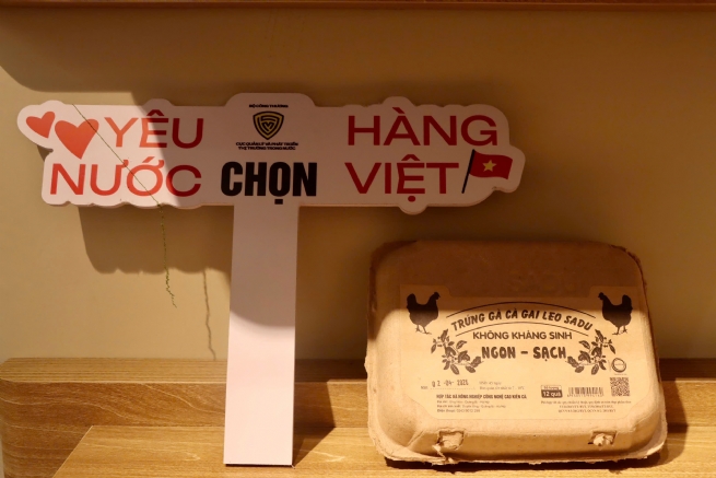 Domestic Market: Strategic Pillar for Sustainable Growth