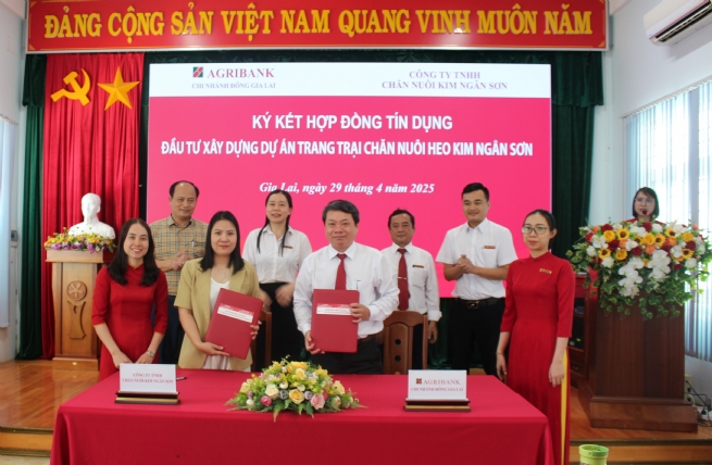 Agribank Dong Gia Lai: A Decade of Breakthroughs, Reinforcing Its Role in Financing Local Economic Development